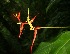  ( - BioBot05224)  @11 [ ] Copyright (2010) Unspecified Unspecified