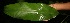  ( - BioBot05224)  @11 [ ] Copyright (2010) Unspecified Unspecified