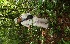  ( - BioBot05233)  @11 [ ] Copyright (2010) Unspecified Unspecified
