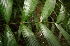  ( - BioBot05234)  @11 [ ] Copyright (2010) Unspecified Unspecified