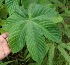  ( - BioBot05247)  @11 [ ] Copyright (2010) Unspecified Unspecified