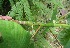 ( - BioBot05247)  @11 [ ] Copyright (2010) Unspecified Unspecified