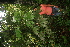  ( - BioBot05251)  @11 [ ] Copyright (2010) Unspecified Unspecified
