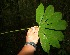  ( - BioBot05251)  @11 [ ] Copyright (2010) Unspecified Unspecified
