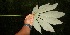  ( - BioBot05251)  @11 [ ] Copyright (2010) Unspecified Unspecified