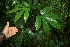  ( - BioBot05252)  @11 [ ] Copyright (2010) Unspecified Unspecified