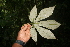 ( - BioBot05252)  @11 [ ] Copyright (2010) Unspecified Unspecified