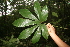  ( - BioBot05253)  @11 [ ] Copyright (2010) Unspecified Unspecified