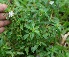  ( - BioBot05314)  @11 [ ] Copyright (2010) Unspecified Unspecified