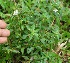  ( - BioBot05314)  @11 [ ] Copyright (2010) Unspecified Unspecified