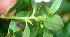 ( - BioBot05314)  @11 [ ] Copyright (2010) Unspecified Unspecified