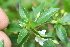  ( - BioBot05314)  @11 [ ] Copyright (2010) Unspecified Unspecified