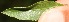  ( - BioBot05314)  @11 [ ] Copyright (2010) Unspecified Unspecified