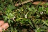  ( - BioBot05315)  @11 [ ] Copyright (2010) Unspecified Unspecified
