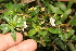  ( - BioBot05315)  @11 [ ] Copyright (2010) Unspecified Unspecified