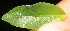  ( - BioBot05315)  @11 [ ] Copyright (2010) Unspecified Unspecified
