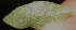  ( - BioBot05315)  @11 [ ] Copyright (2010) Unspecified Unspecified