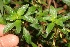  ( - BioBot05316)  @11 [ ] Copyright (2010) Unspecified Unspecified