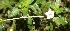  ( - BioBot05316)  @11 [ ] Copyright (2010) Unspecified Unspecified