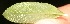  ( - BioBot05316)  @11 [ ] Copyright (2010) Unspecified Unspecified
