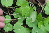  ( - BioBot05320)  @11 [ ] Copyright (2010) Unspecified Unspecified