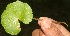  ( - BioBot05320)  @11 [ ] Copyright (2010) Unspecified Unspecified