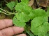  ( - BioBot05321)  @11 [ ] Copyright (2010) Unspecified Unspecified