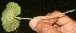  ( - BioBot05321)  @11 [ ] Copyright (2010) Unspecified Unspecified
