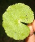  ( - BioBot05321)  @11 [ ] Copyright (2010) Unspecified Unspecified