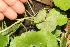  ( - BioBot05322)  @11 [ ] Copyright (2010) Unspecified Unspecified