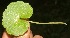  ( - BioBot05322)  @11 [ ] Copyright (2010) Unspecified Unspecified