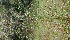  ( - BioBot05329)  @11 [ ] Copyright (2010) Unspecified Unspecified