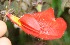  ( - BioBot05332)  @11 [ ] Copyright (2010) Unspecified Unspecified