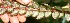  ( - BioBot05332)  @11 [ ] Copyright (2010) Unspecified Unspecified