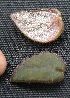  ( - BioBot05332)  @11 [ ] Copyright (2010) Unspecified Unspecified