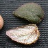  ( - BioBot05332)  @11 [ ] Copyright (2010) Unspecified Unspecified