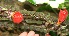  ( - BioBot05334)  @11 [ ] Copyright (2010) Unspecified Unspecified