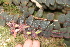  ( - BioBot05334)  @11 [ ] Copyright (2010) Unspecified Unspecified