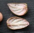  ( - BioBot05334)  @12 [ ] Copyright (2010) Unspecified Unspecified