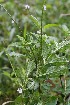  ( - BioBot05341)  @11 [ ] Copyright (2010) Unspecified Unspecified
