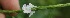  ( - BioBot05341)  @11 [ ] Copyright (2010) Unspecified Unspecified
