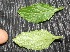  ( - BioBot05341)  @11 [ ] Copyright (2010) Unspecified Unspecified