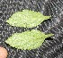  ( - BioBot05341)  @11 [ ] Copyright (2010) Unspecified Unspecified