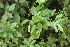  ( - BioBot05342)  @11 [ ] Copyright (2010) Unspecified Unspecified