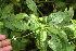  ( - BioBot05342)  @11 [ ] Copyright (2010) Unspecified Unspecified