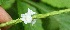  ( - BioBot05342)  @11 [ ] Copyright (2010) Unspecified Unspecified