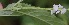  ( - BioBot05342)  @11 [ ] Copyright (2010) Unspecified Unspecified