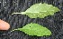  ( - BioBot05342)  @11 [ ] Copyright (2010) Unspecified Unspecified