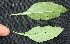  ( - BioBot05342)  @11 [ ] Copyright (2010) Unspecified Unspecified