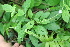  ( - BioBot05343)  @11 [ ] Copyright (2010) Unspecified Unspecified